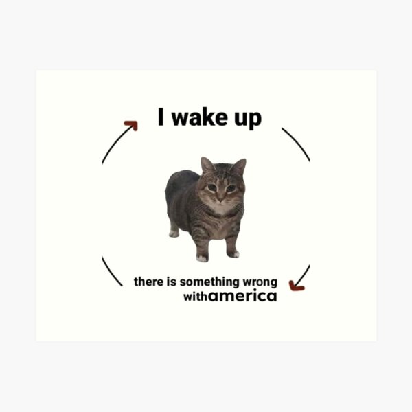 My get up & go, got up & went. - Lolcats - lol, cat memes, funny cats, funny cat pictures with words on them, funny pictures, lol cat memes