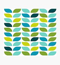 Geometric Pattern: Leaf: Spring Photographic Print