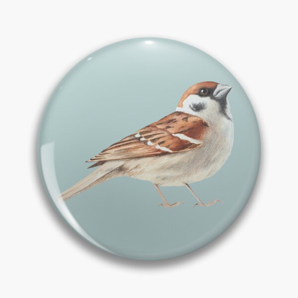 Item preview, Sparrow designed and sold by Turdus-Merula.