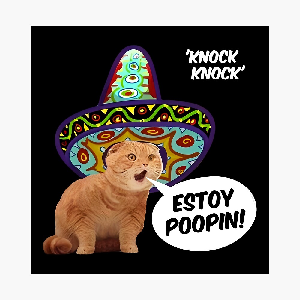 HQ ESTOY POOPIN Mexican Screaming Cat Meme Poster for Sale by fomodesigns  | Redbubble