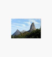 Beerwah watches Coonoowrin's back Art Board Print