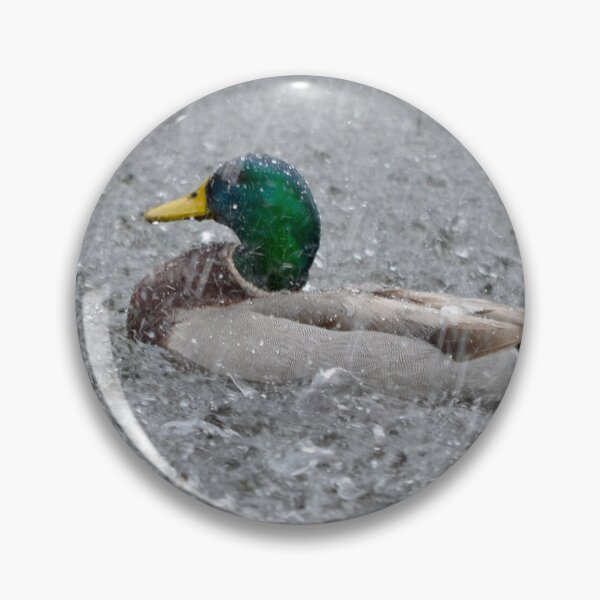 Item preview, Duck Weather designed and sold by richardbryce.