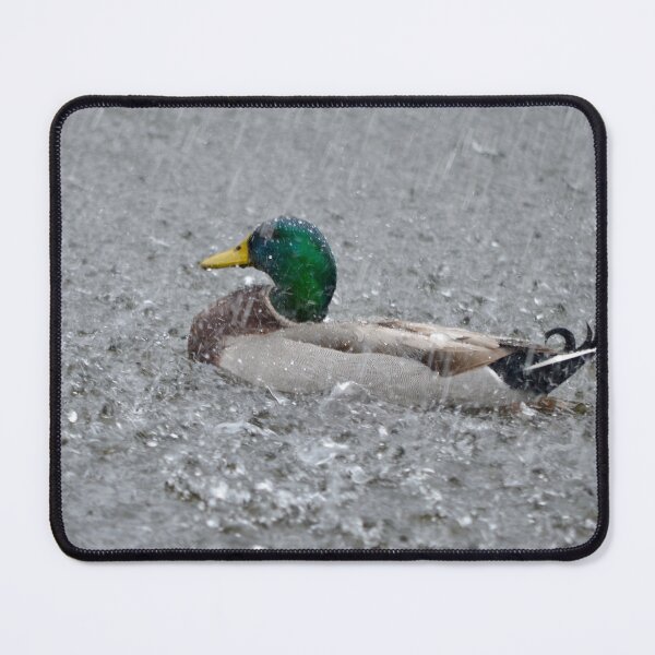 Item preview, Duck Weather designed and sold by richardbryce.