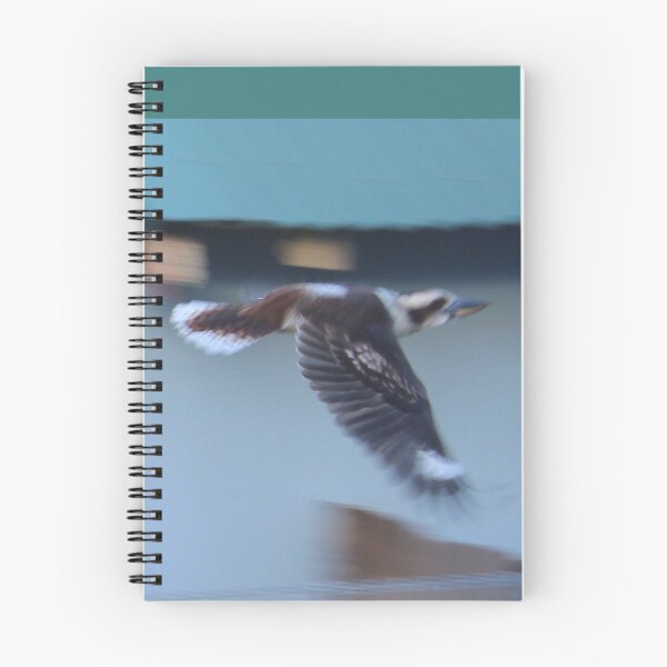 Item preview, Kookaburra in Flight designed and sold by KazM.