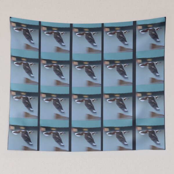 Item preview, Kookaburra in Flight designed and sold by KazM.