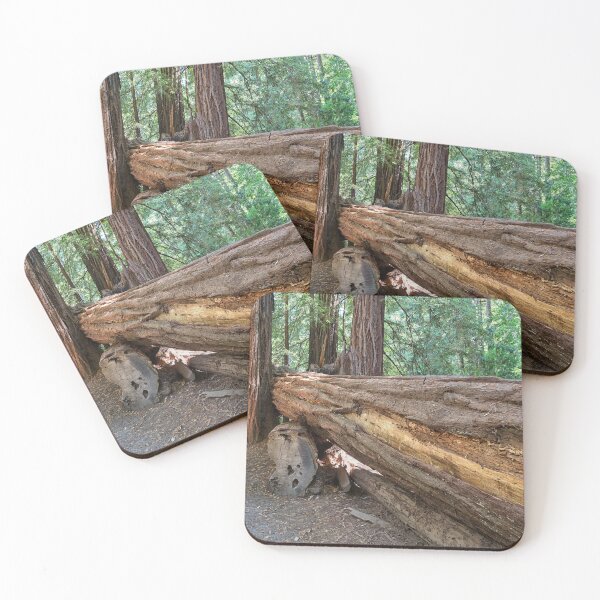 Item preview, Trunk of a Redwood Tree designed and sold by Yair Karelic.
