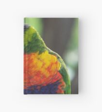 Rainbow Lorikeet Hardcover Journal