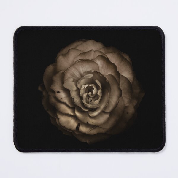 Item preview, Backyard Flowers No 85 Toned Version designed and sold by The Learning Curve Photography.