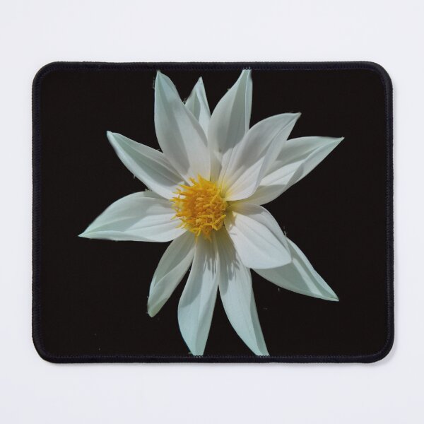 Item preview, White Dahlia designed and sold by Nicole Gath.