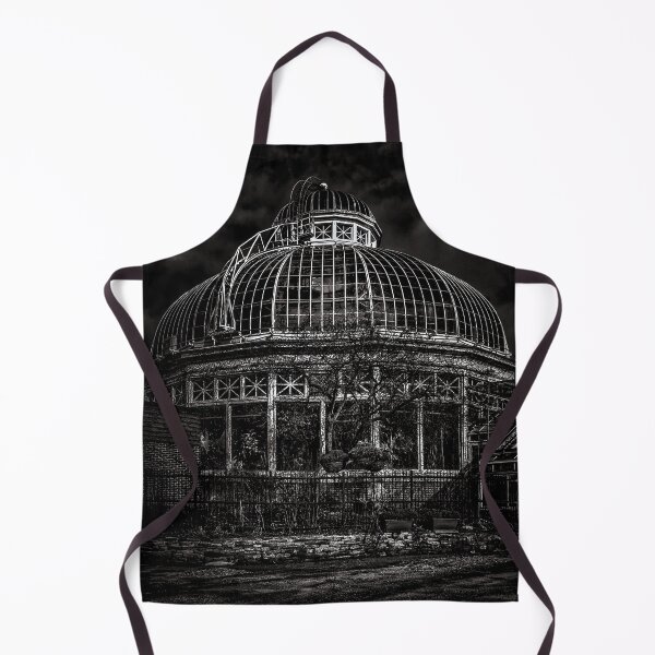 Item preview, Allan Gardens Conservatory Palm House No 2 designed and sold by The Learning Curve Photography.
