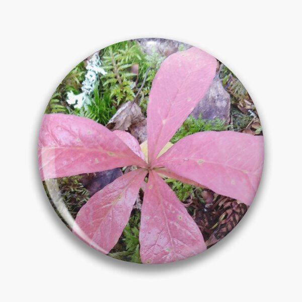 Item preview, Pink ballerina in the forest designed and sold by Raigitam.