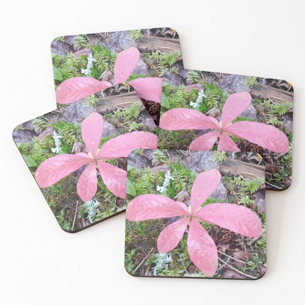 Item preview, Pink ballerina in the forest designed and sold by Raigitam.