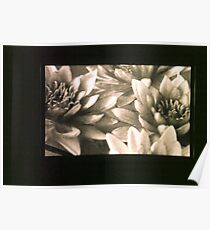 untitled #3: flowers Poster