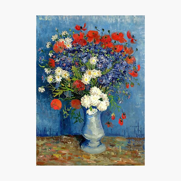 Vase With Cornflowers And Poppies Photographic Print