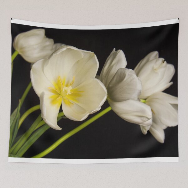 Item preview, White Tulips designed and sold by plantlegend.