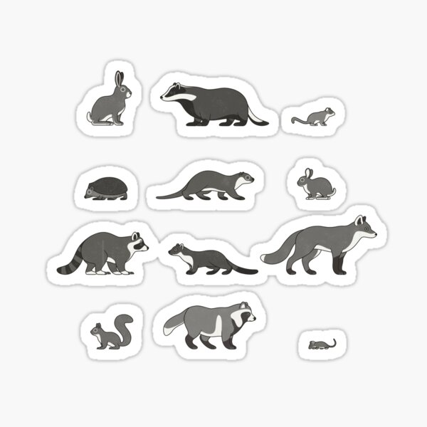 Common Forest Animals Identification Chart (Englisch) Sticker