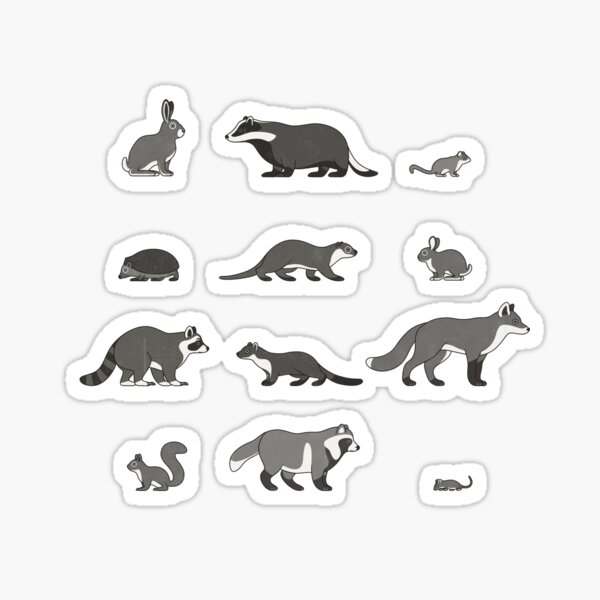 Heimische Waldtiere Infografik / Schautafel (Deutsch) Sticker