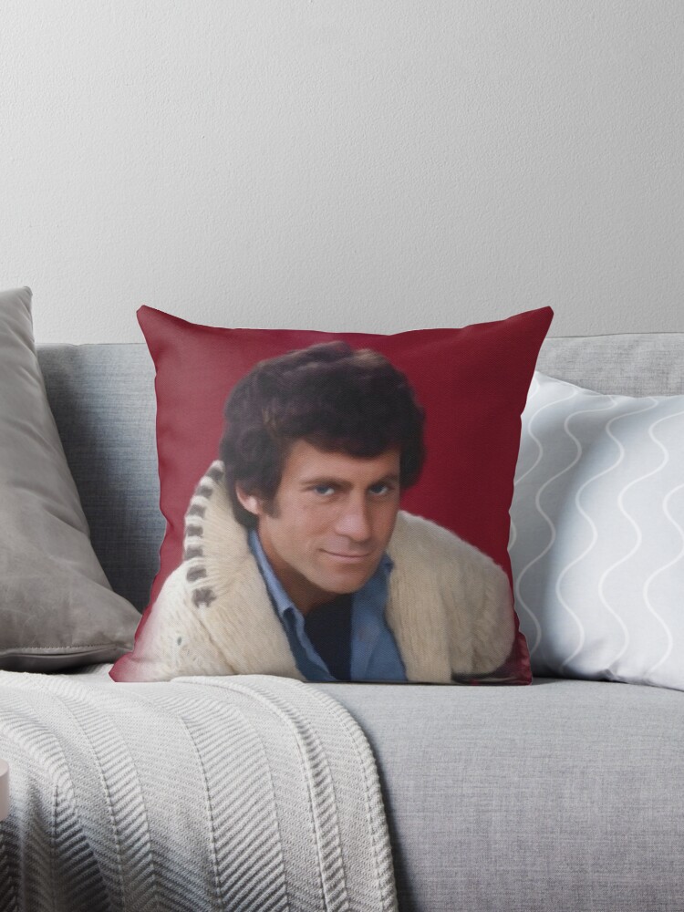 https://ih1.redbubble.net/image.4197158984.3416/throwpillow,small,750x1000-bg,f8f8f8.u1.jpg