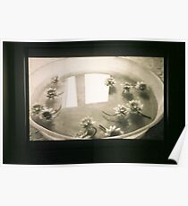 untitled #2: bowl Poster