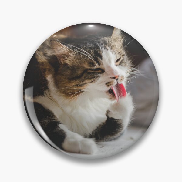 Item preview, Funny Cat Licking Cleaning Paw Cutest Cat Pics designed and sold by CutestCatPics.