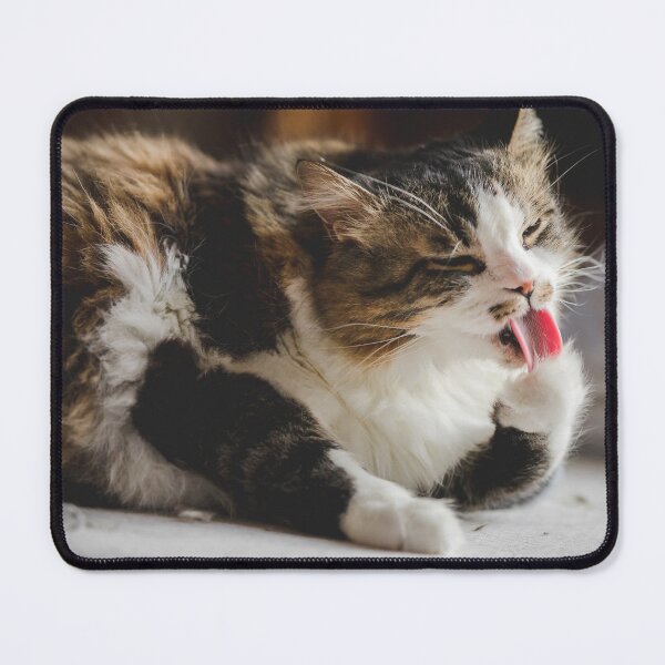 Item preview, Funny Cat Licking Cleaning Paw Cutest Cat Pics designed and sold by CutestCatPics.