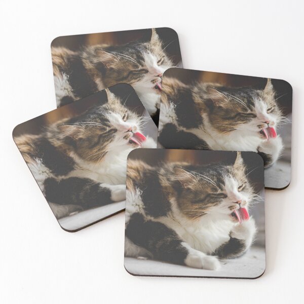 Item preview, Funny Cat Licking Cleaning Paw Cutest Cat Pics designed and sold by CutestCatPics.