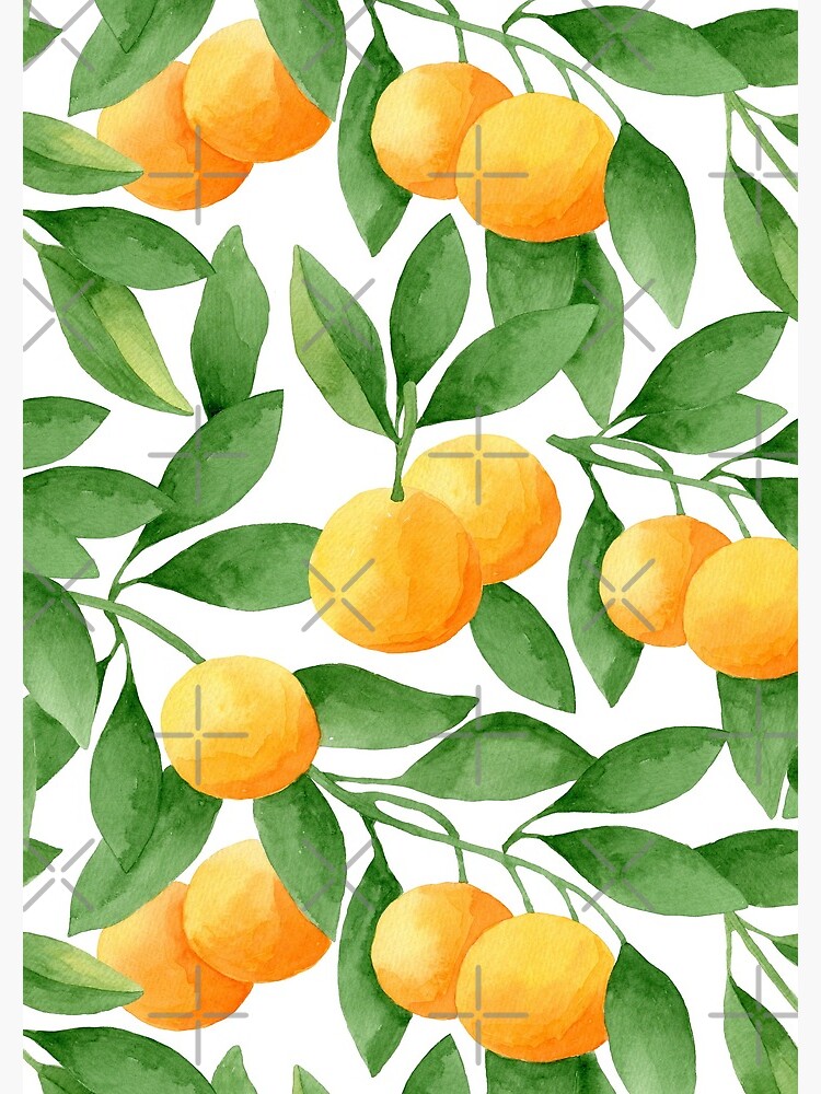 Watercolor Tangerines Pattern by helga-wigandt