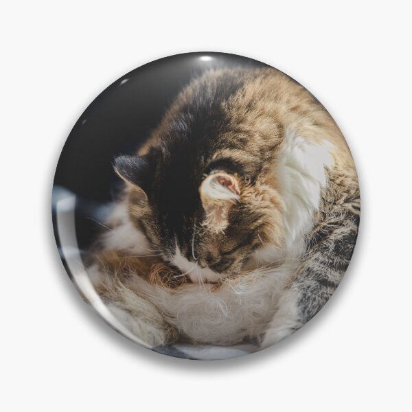 Item preview, Cat Cleaning In Sun Cutest Cat Pics designed and sold by CutestCatPics.