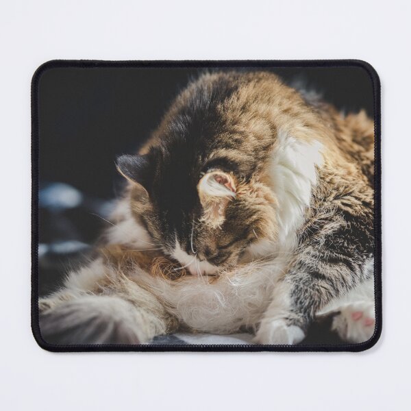 Item preview, Cat Cleaning In Sun Cutest Cat Pics designed and sold by CutestCatPics.