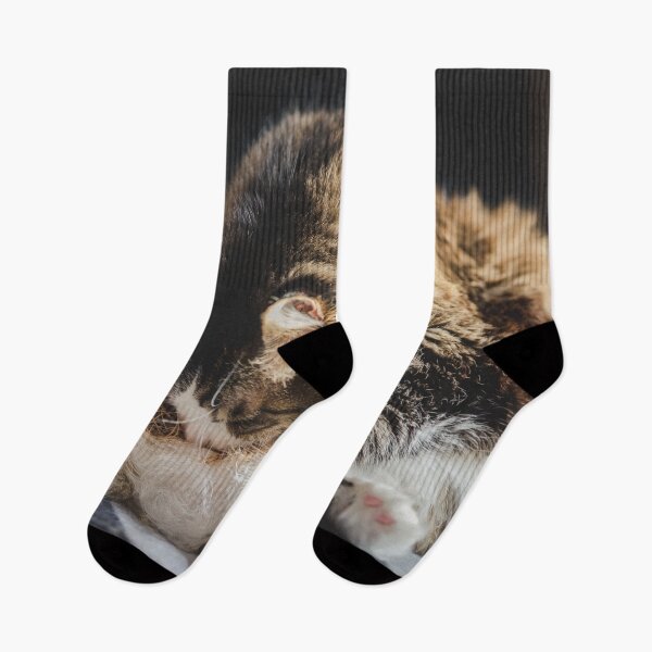 Item preview, Cat Cleaning In Sun Cutest Cat Pics designed and sold by CutestCatPics.