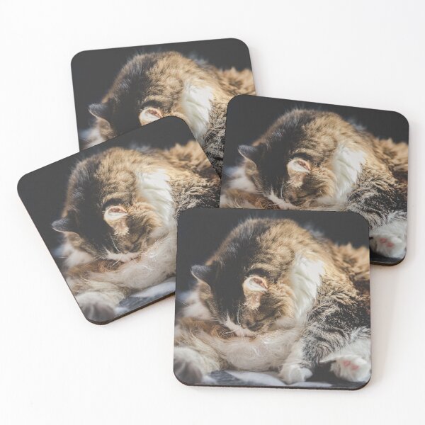 Item preview, Cat Cleaning In Sun Cutest Cat Pics designed and sold by CutestCatPics.