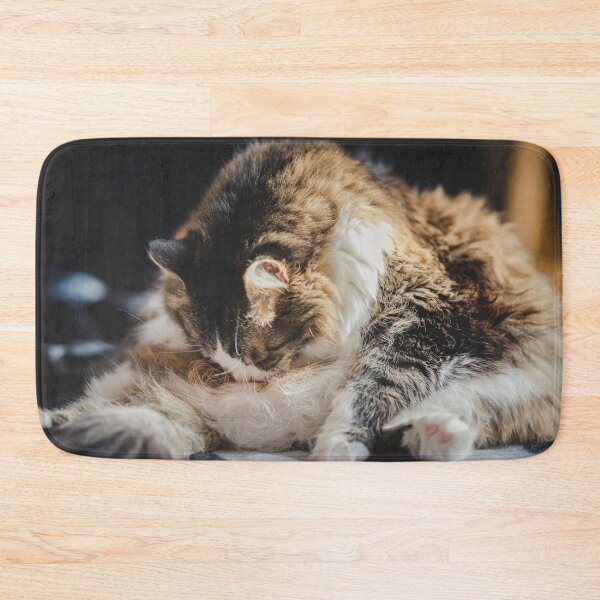 Item preview, Cat Cleaning In Sun Cutest Cat Pics designed and sold by CutestCatPics.
