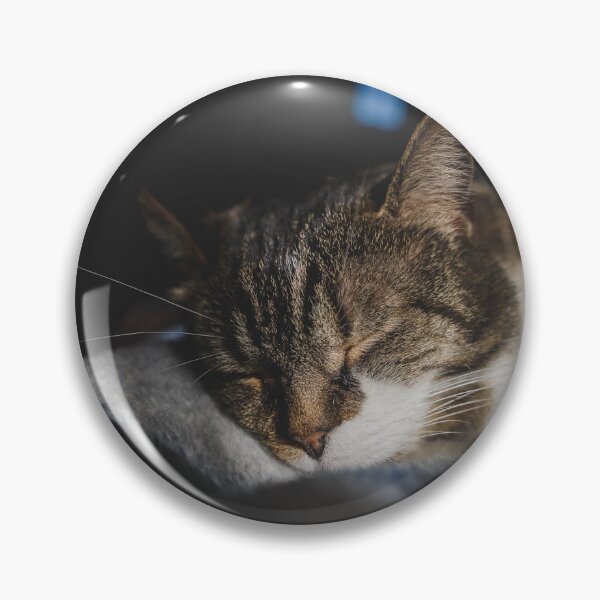 Item preview, Cat Napping On Blanket Cutest Cat Pics designed and sold by CutestCatPics.