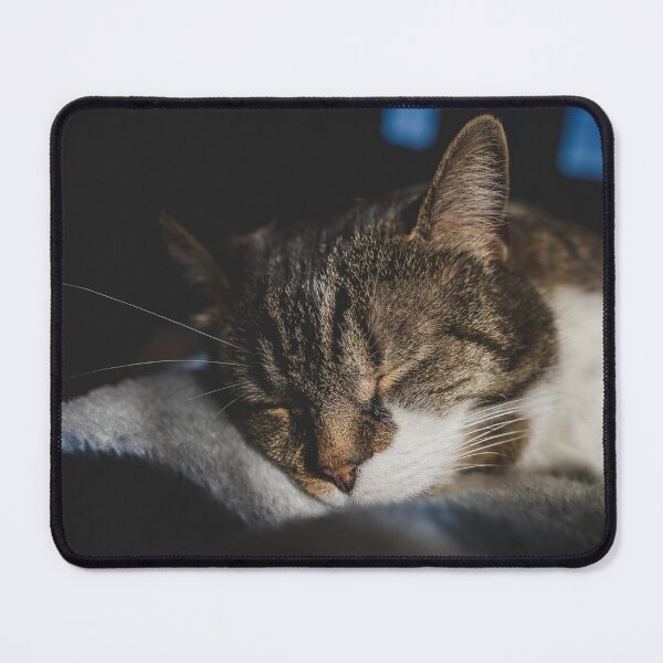 Item preview, Cat Napping On Blanket Cutest Cat Pics designed and sold by CutestCatPics.