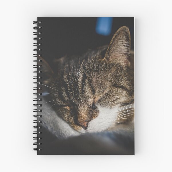 Item preview, Cat Napping On Blanket Cutest Cat Pics designed and sold by CutestCatPics.