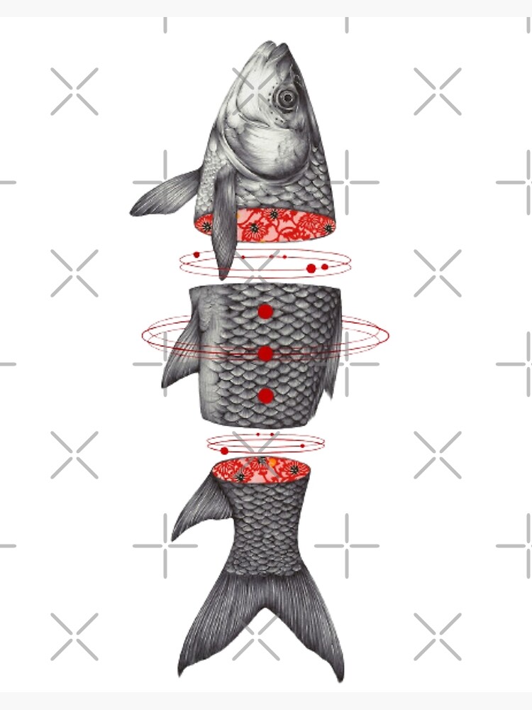 fly fishing flies in a vertical pattern | Art Board Print