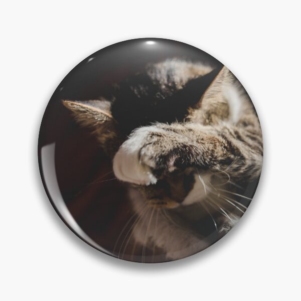 Item preview, Cat Cleaning After Supper In The Sun Cutest Cat Pics designed and sold by CutestCatPics.