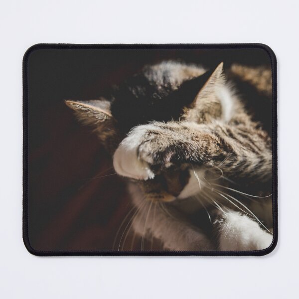 Item preview, Cat Cleaning After Supper In The Sun Cutest Cat Pics designed and sold by CutestCatPics.
