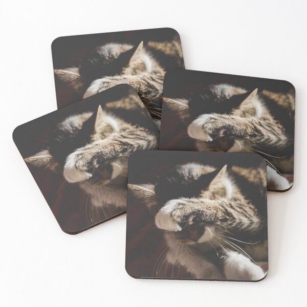 Item preview, Cat Cleaning After Supper In The Sun Cutest Cat Pics designed and sold by CutestCatPics.
