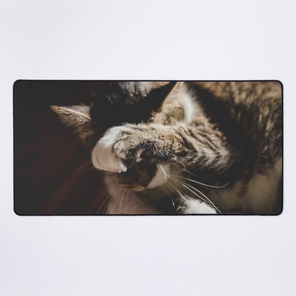 Item preview, Cat Cleaning After Supper In The Sun Cutest Cat Pics designed and sold by CutestCatPics.