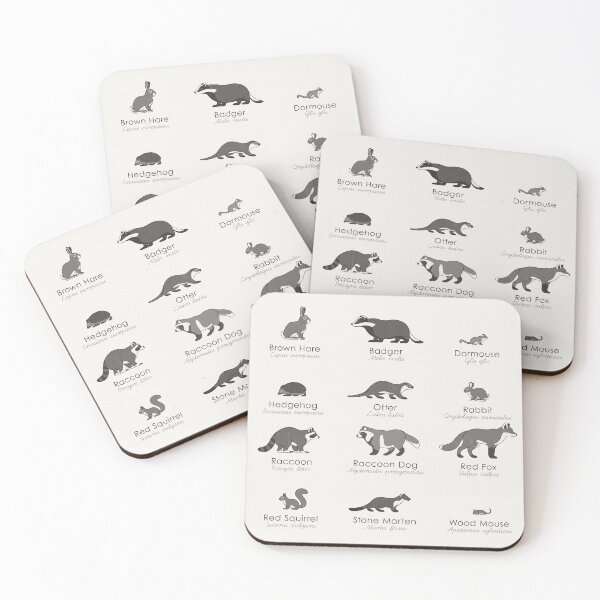 Item preview, Common Forest Animals Identification Chart designed and sold by Iris Luckhaus.