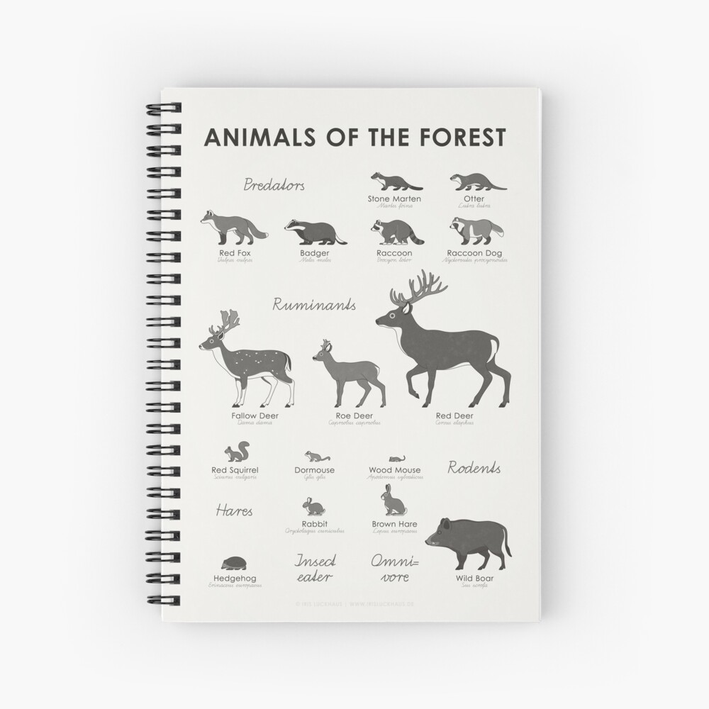 Common Forest Animals Identification Chart