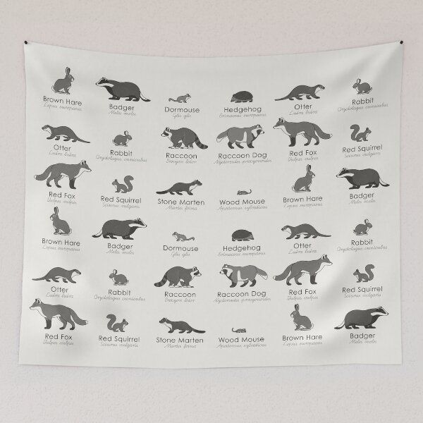 Item preview, Common Forest Animals Identification Chart designed and sold by Iris Luckhaus.
