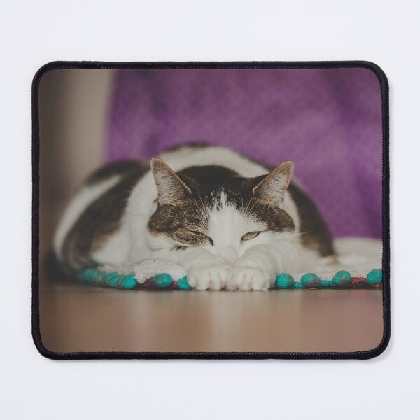 Item preview, Cat Lounging On Floor Cutest Cat Pics designed and sold by CutestCatPics.