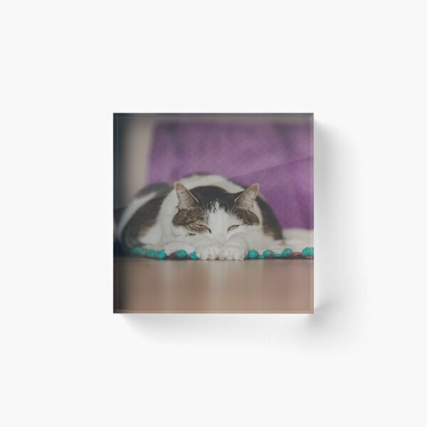 Item preview, Cat Lounging On Floor Cutest Cat Pics designed and sold by CutestCatPics.