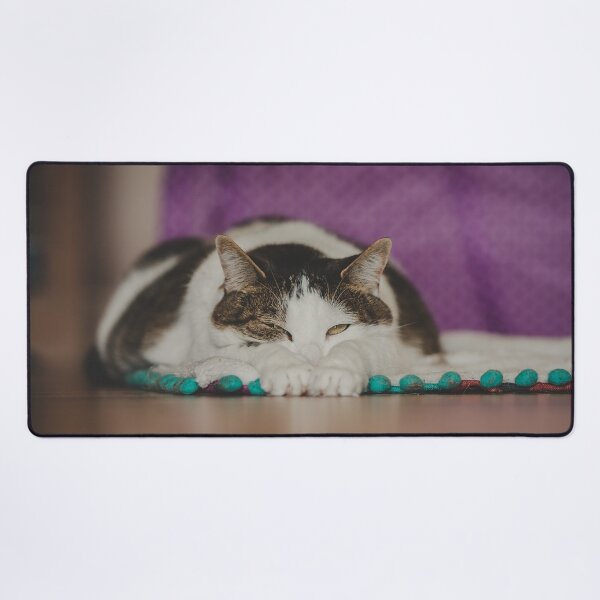 Item preview, Cat Lounging On Floor Cutest Cat Pics designed and sold by CutestCatPics.