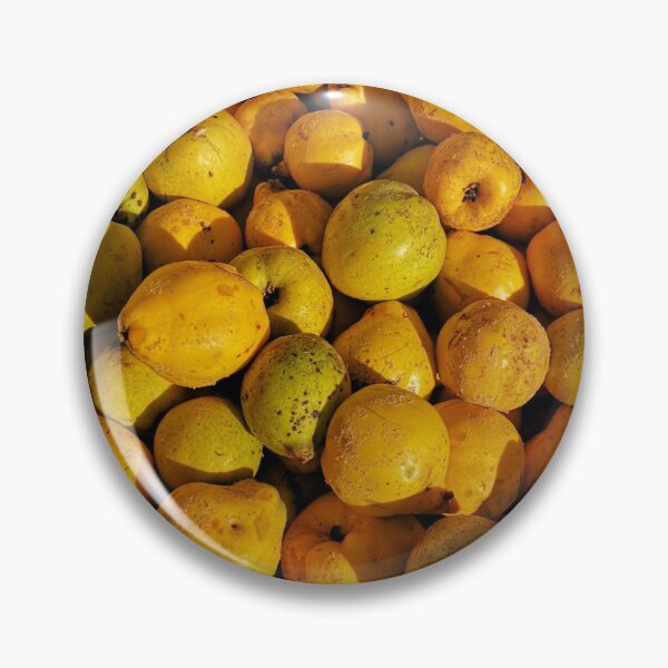Item preview, Bright yellow quinces designed and sold by susannvoelske.