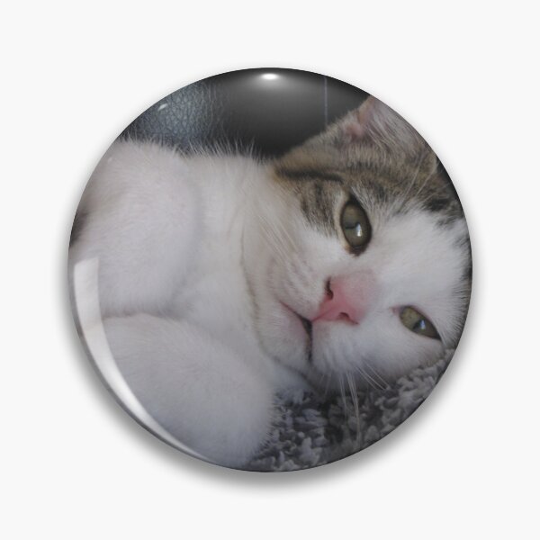 Item preview, Kitten Being Cute Cutest Cat Pics designed and sold by CutestCatPics.