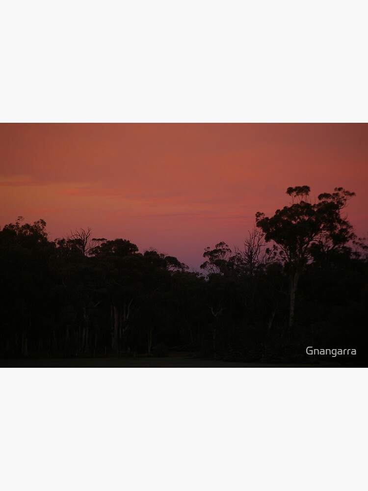 At dawns light by Gnangarra