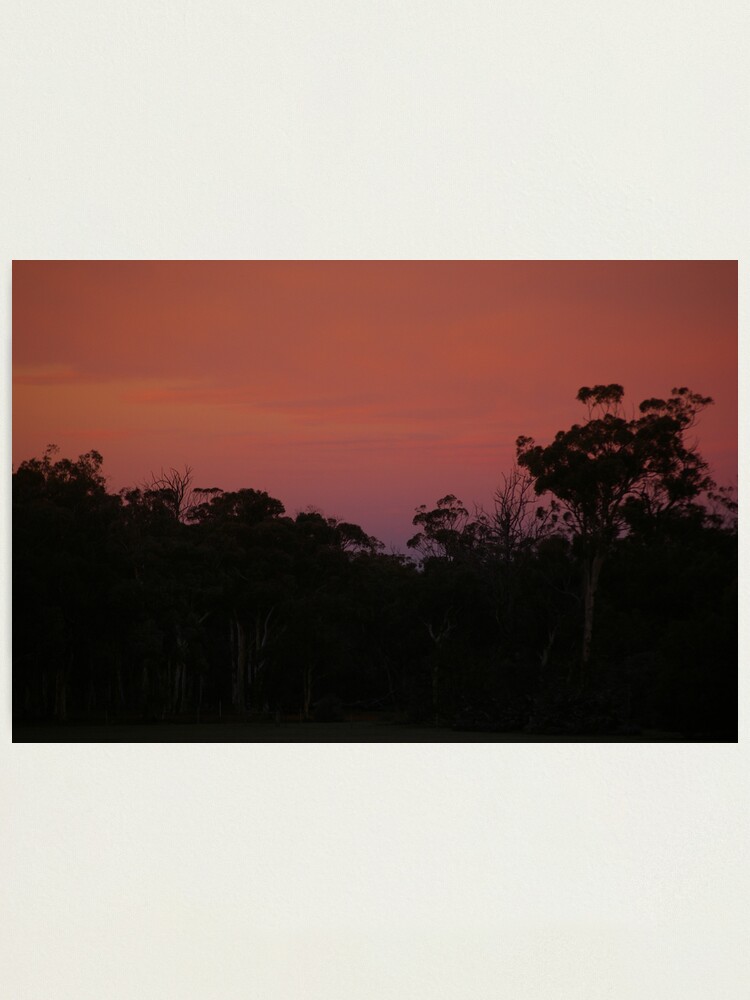 Alternate view of At dawns light Photographic Print